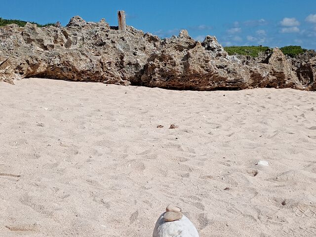 �ƂĂ��d�v�ȏꏊ_������ЃZ�����A���u���[