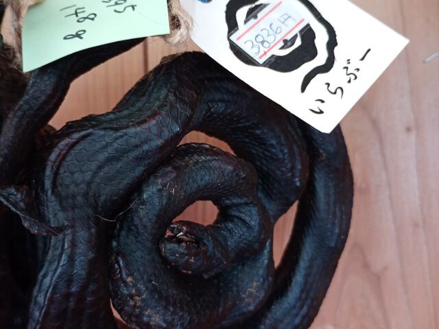 �C���u�[_������ЃZ�����A���u���[