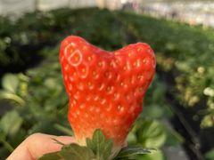 ܂܂񂳂̂܂t@[ւ̓eʐ^1