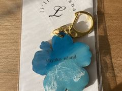 WWIiflifi.Moanaւ̓eʐ^2