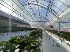 GfB܂܂̏@t@[ւ̓eʐ^1