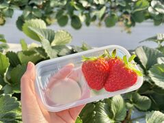 ���Ȃ���̂����t�@�[���ւ̓��e�ʐ^1