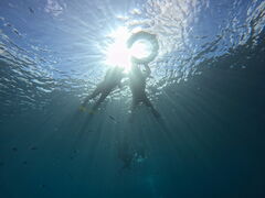 E[ñ}Nu Gigiւ̓eʐ^1