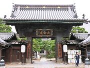 Ƃ񂳂̑P助i󕨊ق̓eʐ^1