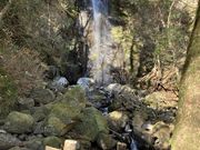 ͂邳̔_̑Ȇ̓eʐ^1