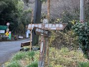 ͂邳̔_̑Ȇ̓eʐ^2