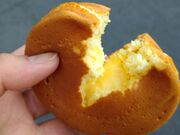 chicõ}~[100̓eʐ^2