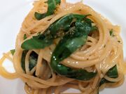 GsLA MOLLICA  [J̓eʐ^3