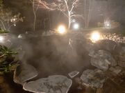 ranpouLIME RESORT HAKONE̓eʐ^1