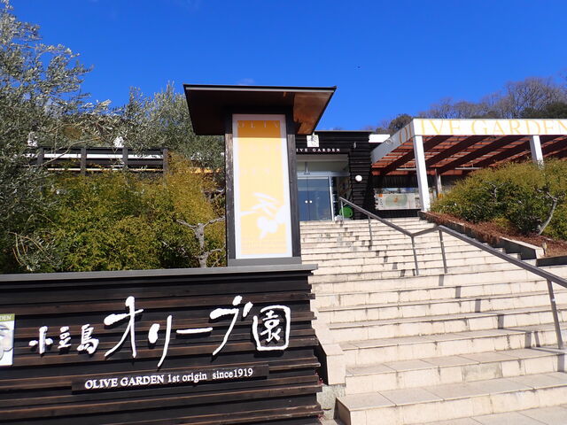 �I���[�u��