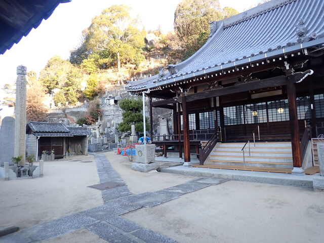 �}�C�a�n�n����̍ϖ@���̓��e�ʐ^1