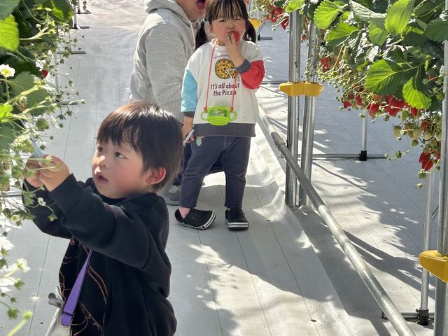 �n�T�~���g���ĂƂ��Ă܂��B_����(�䂢)�t�@�[��