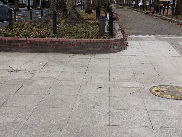 BLUE GIANT�̃}���z�[��_��T����