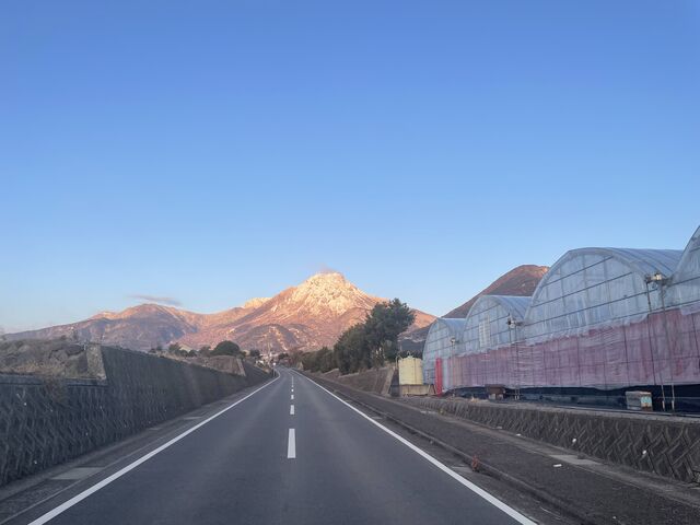 �Y��ȑ厩�R�I_�����ό��������� �ق��΂�t�@�[��