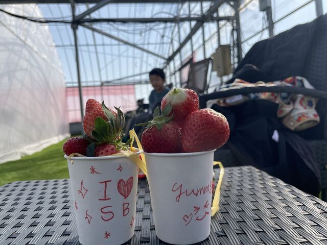 �ō��ɔ��������������ł����I_�����ό��������� �ق��΂�t�@�[��