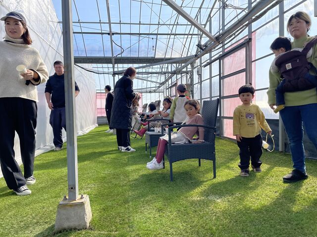 �x�e�����I�V�����I_�����ό��������� �ق��΂�t�@�[��