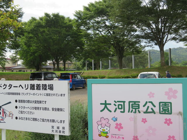 ��͌�����_��͌�����