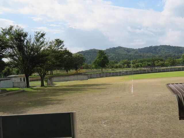 ��͌������@�싅��_��͌�����