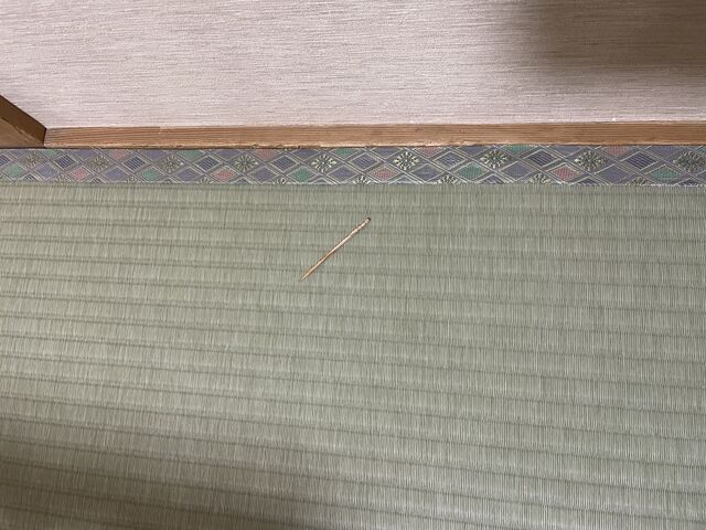 ����ȉ�������_�����̓��h�@��]�{��