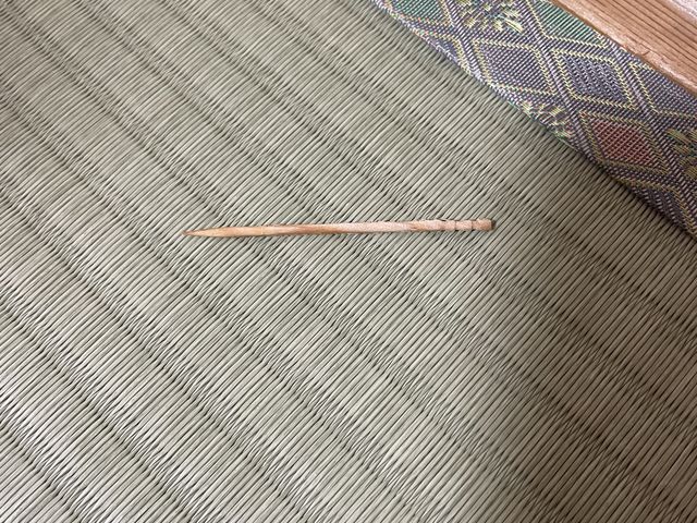 ����Ȃɂ���������_�����̓��h�@��]�{��