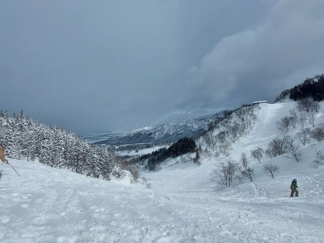 �Q�����f1_���q�X�m�[���]�[�g