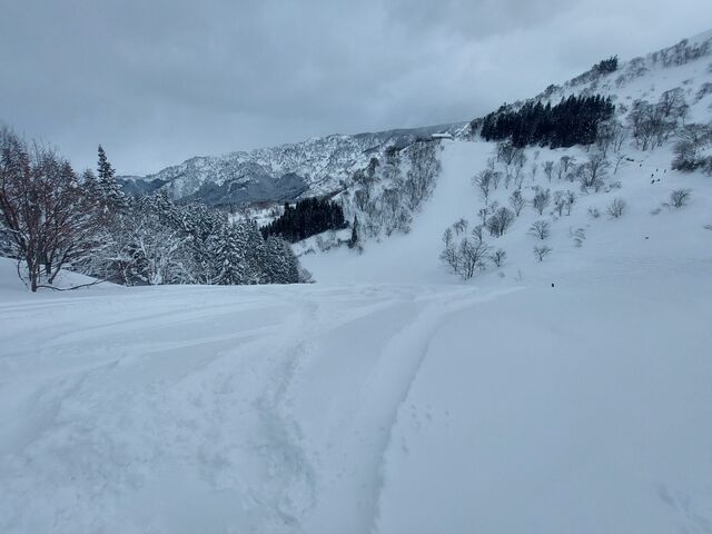 �Q�����f2_���q�X�m�[���]�[�g