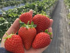 낳̊ЃWFCGC܂t@[ւ̓eʐ^1