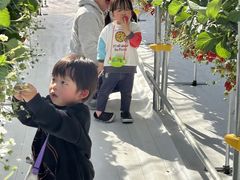 ookamimikǒ(䂢)t@[ւ̓eʐ^1