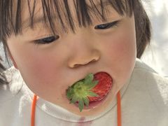 ookamimikǒ(䂢)t@[ւ̓eʐ^2