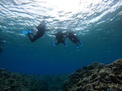 ₳̐Ί_ ADVENTURE PiPiւ̓eʐ^1