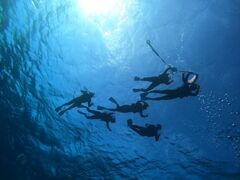 悤̐Ί_ ADVENTURE PiPiւ̓eʐ^1