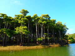 Ȃ[̖` ꑍAEghAcA[Xւ̓eʐ^1