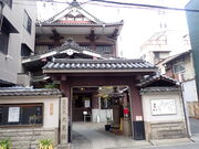 �}�C�a�n�n����̑��V�̓��e�ʐ^1