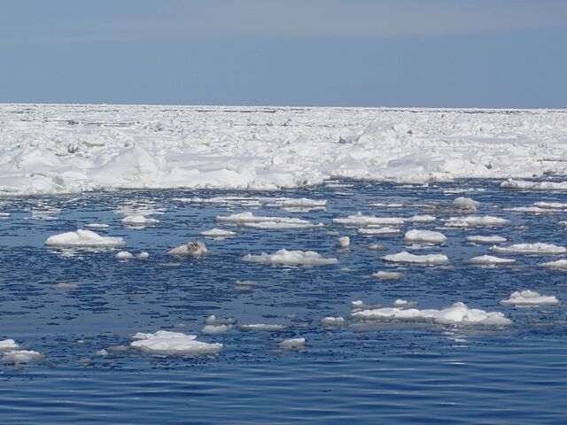 XYĂ`ɂ͗Xт`_ԑXόӕXD[