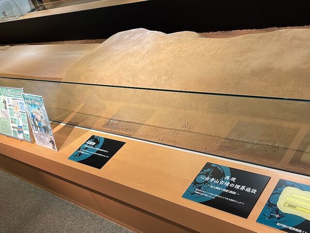 �����S�y���̍Č�_�����s�������񂶂�܌Õ��w�K��