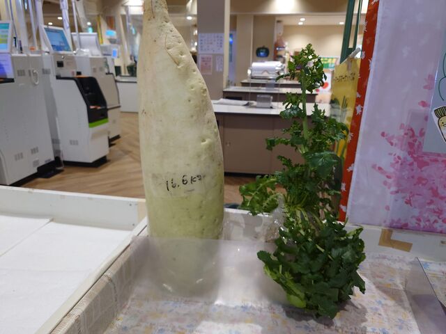 L|cs@̉w O̗_̉w O̗