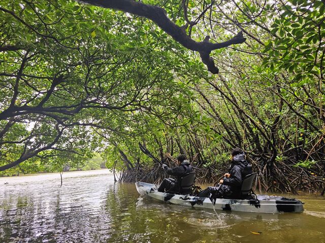 T[rXŎʐ^BeĂ܂_OHCUSΊ_