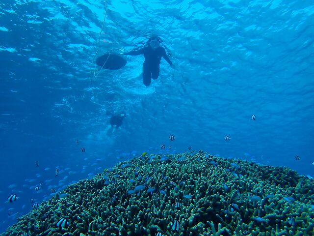 Swimming_imtida宮古島