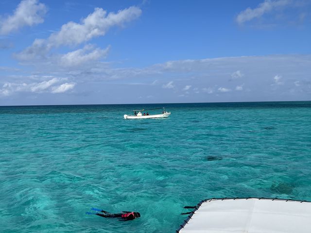 ���d�����V���m�[�P�����O_�A�N�A�x�[�X