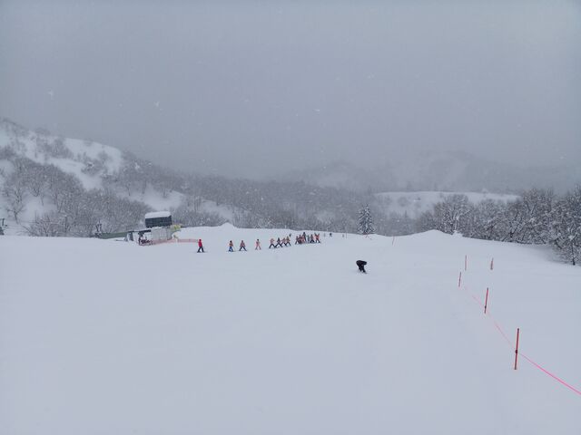 2��21�����j���@����@���w���� ���k���񂽂������K���Ă܂���_���C�R�[�X�L�[��