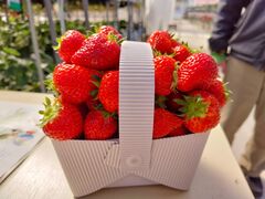 [ق񂳂̒dECOt@[ւ̓eʐ^1