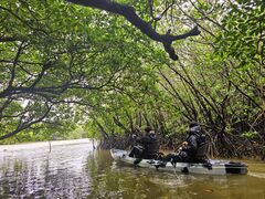 䂢OHCUSΊ_ւ̓eʐ^1