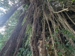 [`J̃u[tB[hւ̓eʐ^1