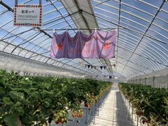 ~j[^T-FARM 1Xւ̓eʐ^1