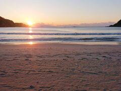 shinsuke̋|lւ̓eʐ^1