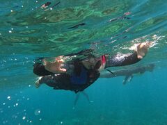 KEIMII MARINEւ̓eʐ^1