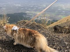 ܁[񂳂̑ϕւ̓eʐ^1