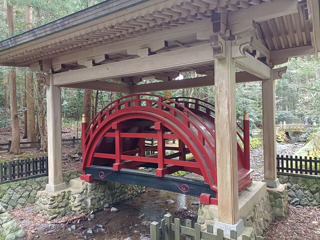 ��_��_�\�F�_��