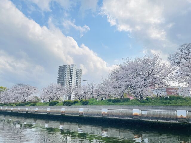 �D����̒���_�Ȃ���x��N���[�Y