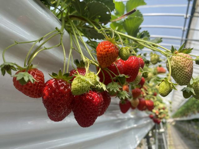 �������B_�~�m�~�t�@�[��